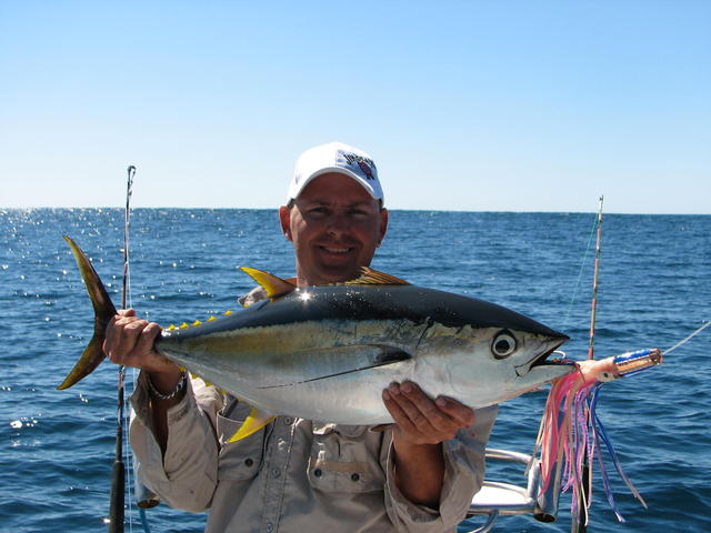 exmouth yellowfin tuna